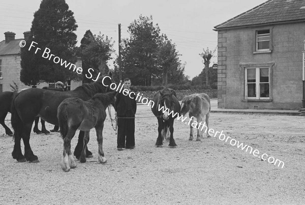 FAIR SCENE  HORSES